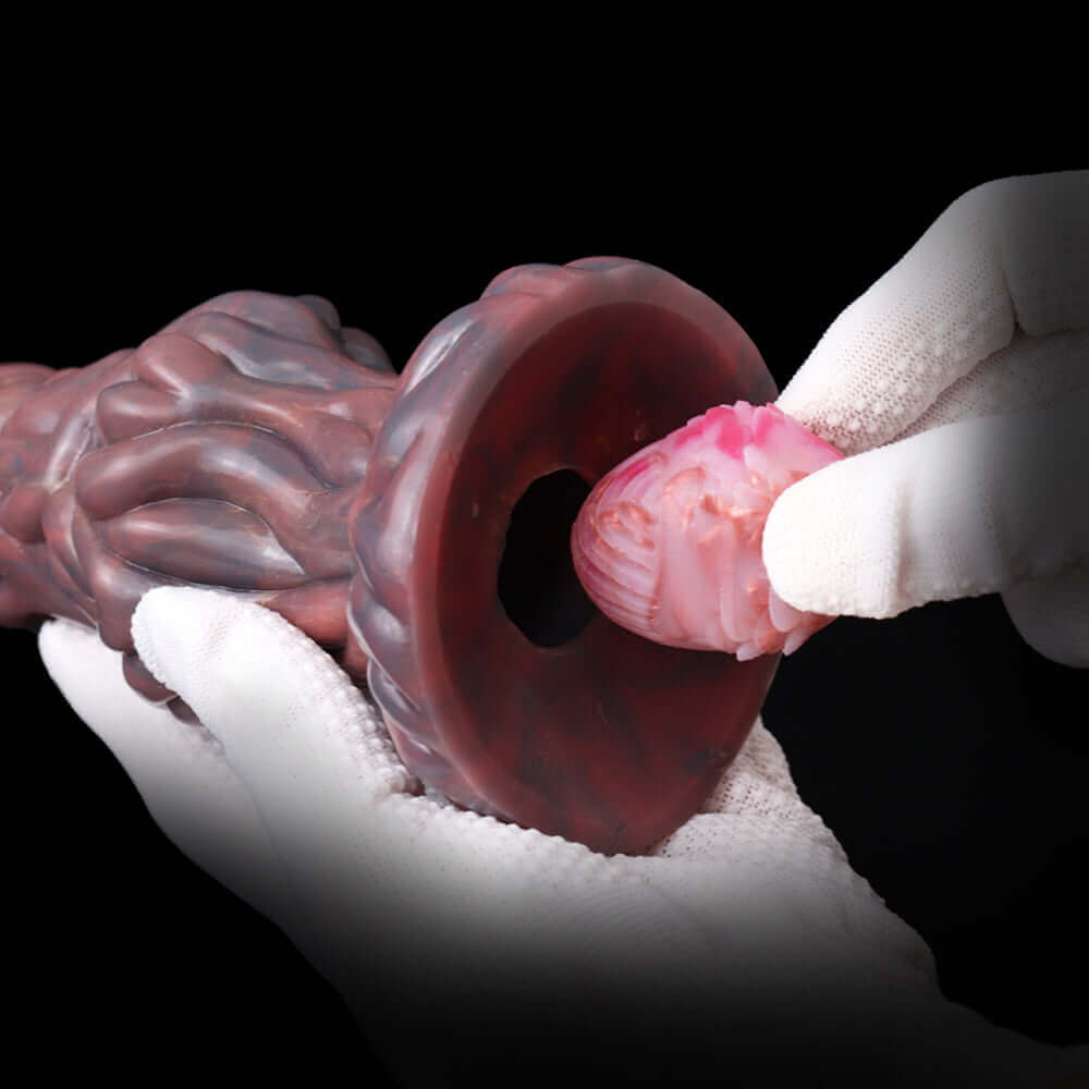 Pandora Ovipositor
