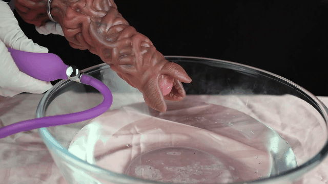 Pandora Ovipositor With Pump