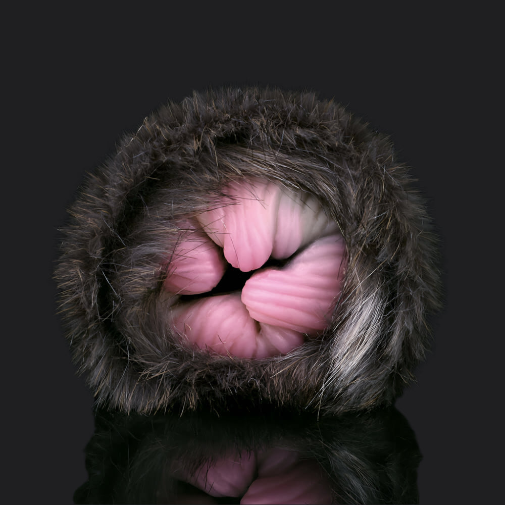 Feline Furry Penetrable - Dragon Dildo UK
