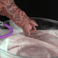 Pandora Ovipositor With Pump